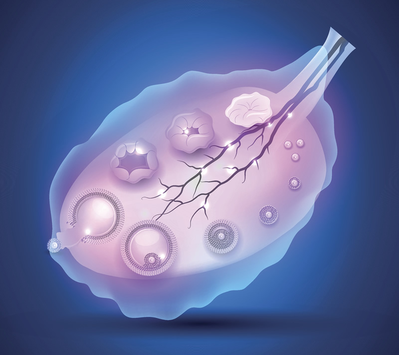 泰国CEF曼谷医院第三代试管婴儿技术，附试管流程详细分享！